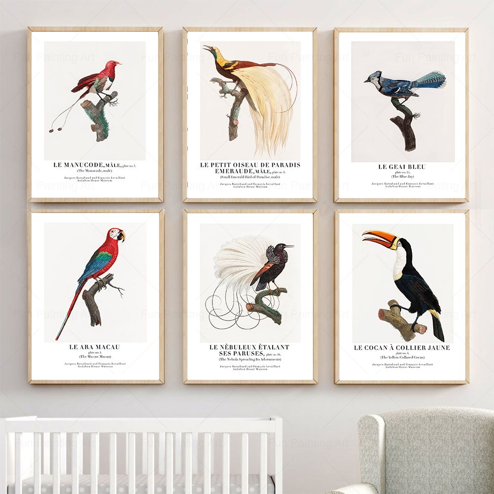 Furniture Paradise & Hardware Ghaziabad Reviews - Vintage Paradise Bird cuadro sobre lienzo
