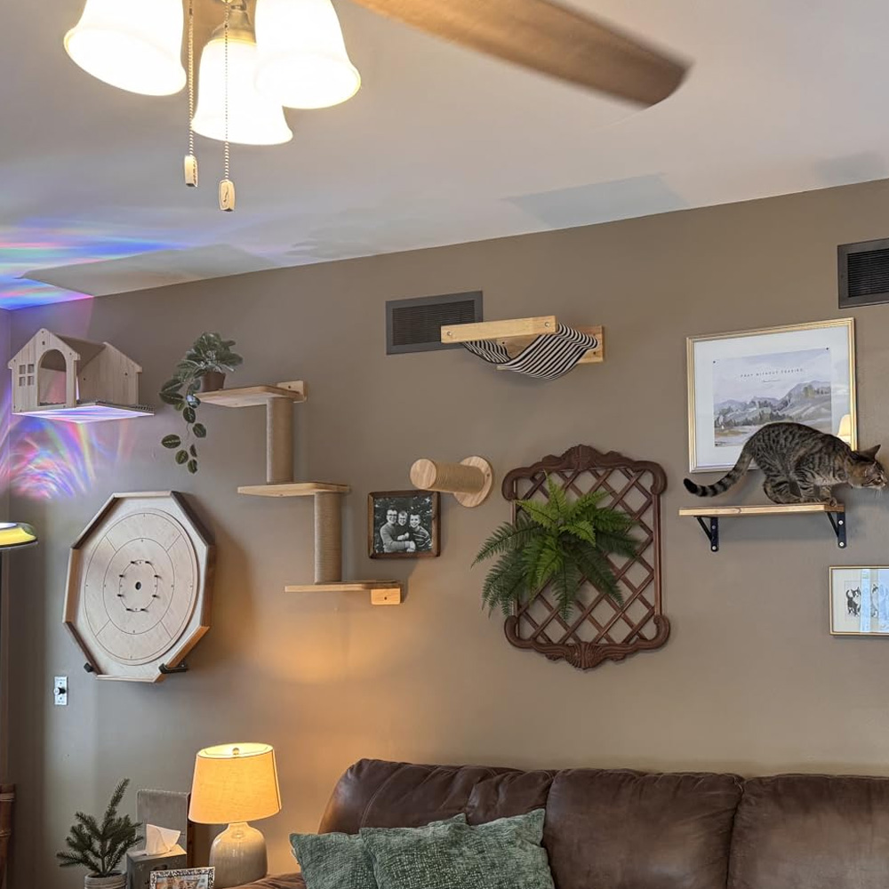 Furniture Paradise & Hardware Ghaziabad Reviews - Muebles para Gatos, Puente Colgante de