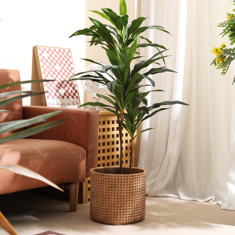Muebles para apartamentos pequ - Furniture Paradise & Hardware Ghaziabad Reviews reseña y precio